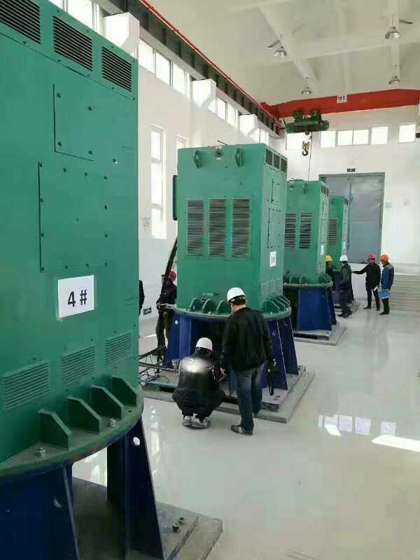 桐乡某污水处理厂使用我厂的立式高压电机安装现场